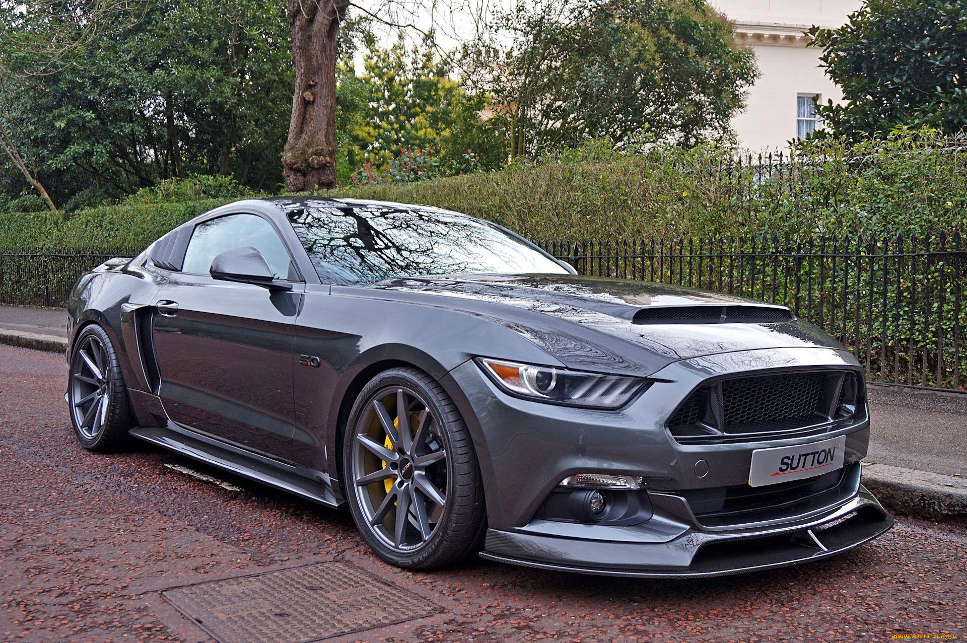 ford mustang gt, , mustang, ford, gt, shelby, gt500, , , , , 